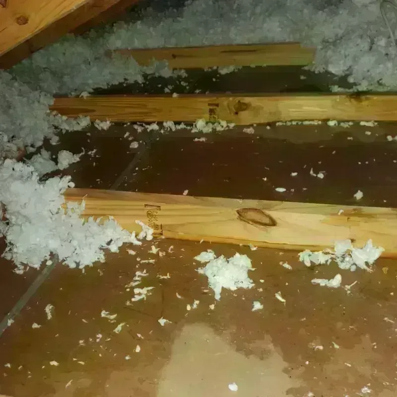 Attic Water Damage in Lamar County, GA